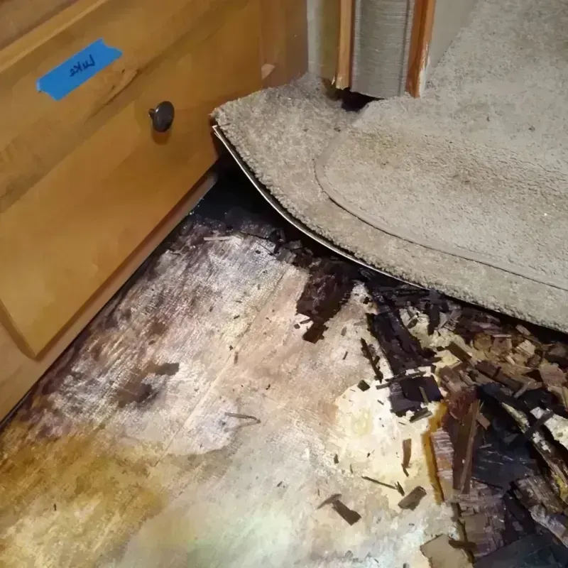 Wood Floor Water Damage in Sarasota Springs, FL